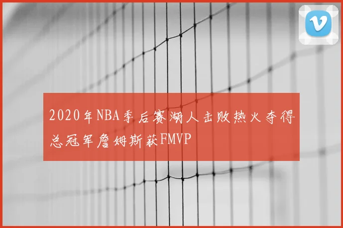 2020年NBA季后赛湖人击败热火夺得总冠军詹姆斯获FMVP